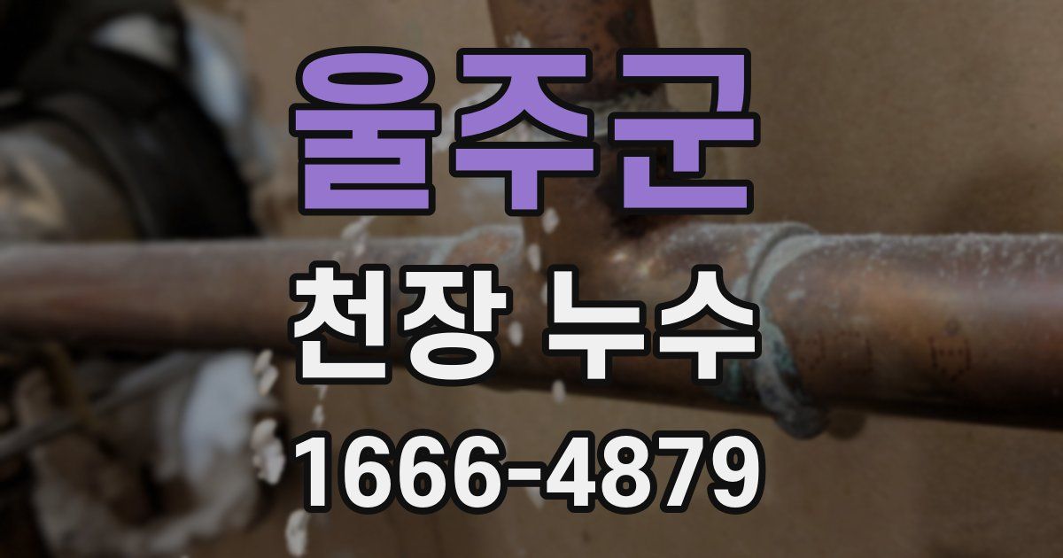 울주군 천장 누수