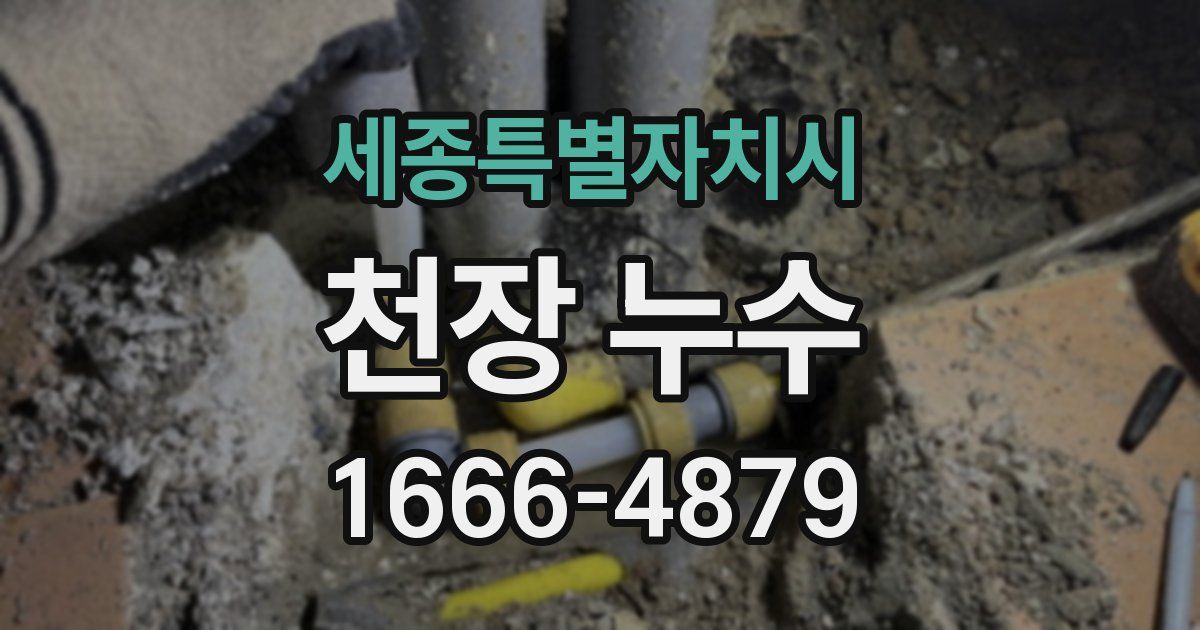 세종특별자치시 천장 누수