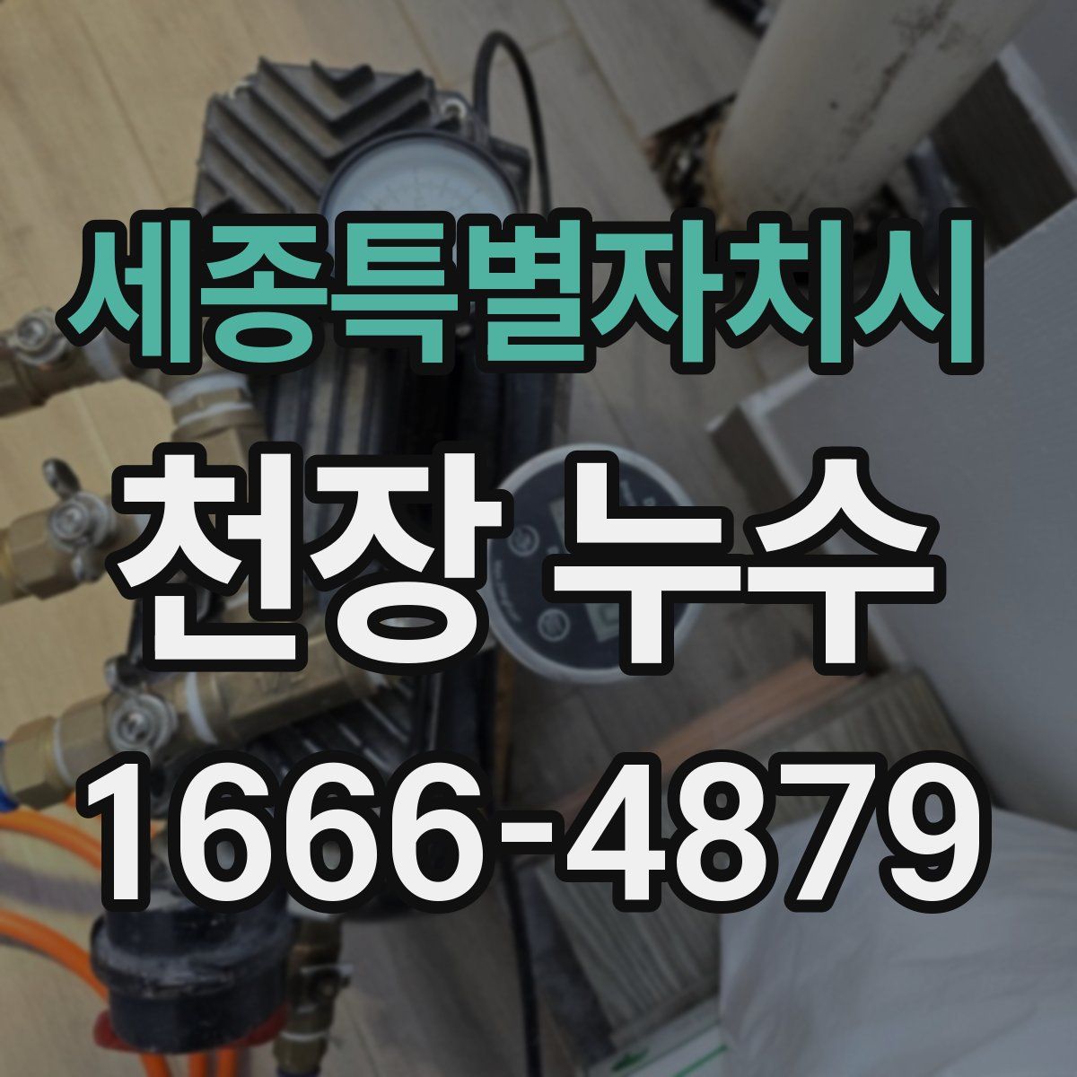 세종특별자치시 천장 누수