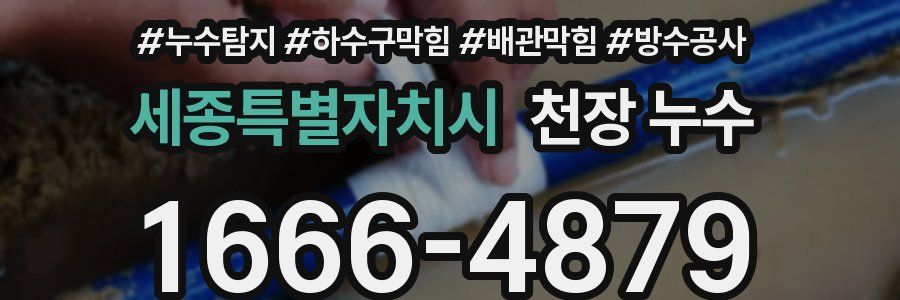 세종특별자치시 천장 누수
