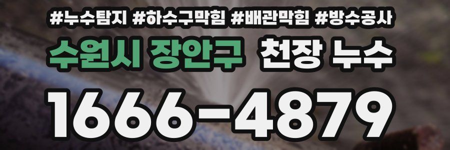 수원시 장안구 천장 누수