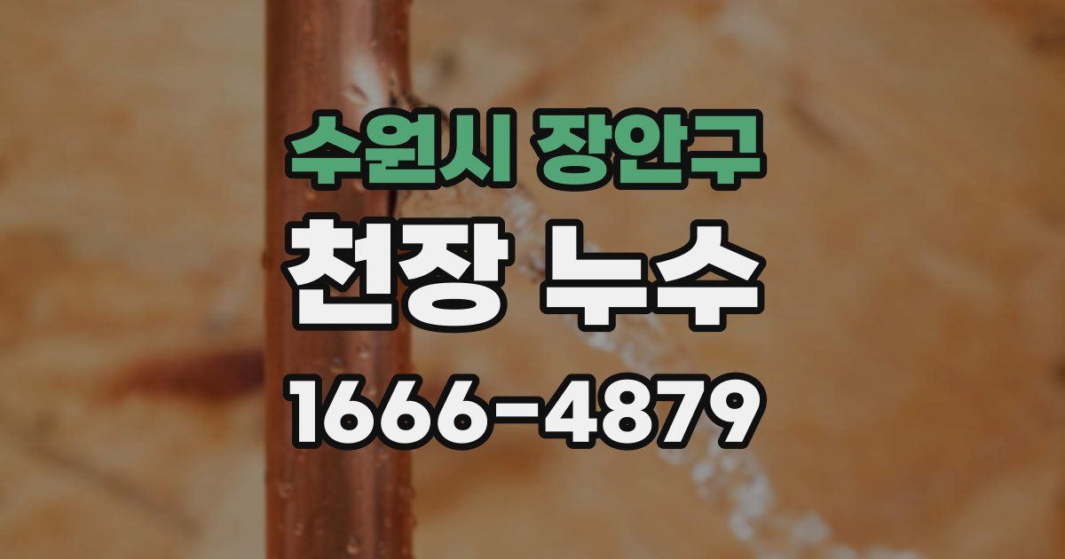 수원시 장안구 천장 누수