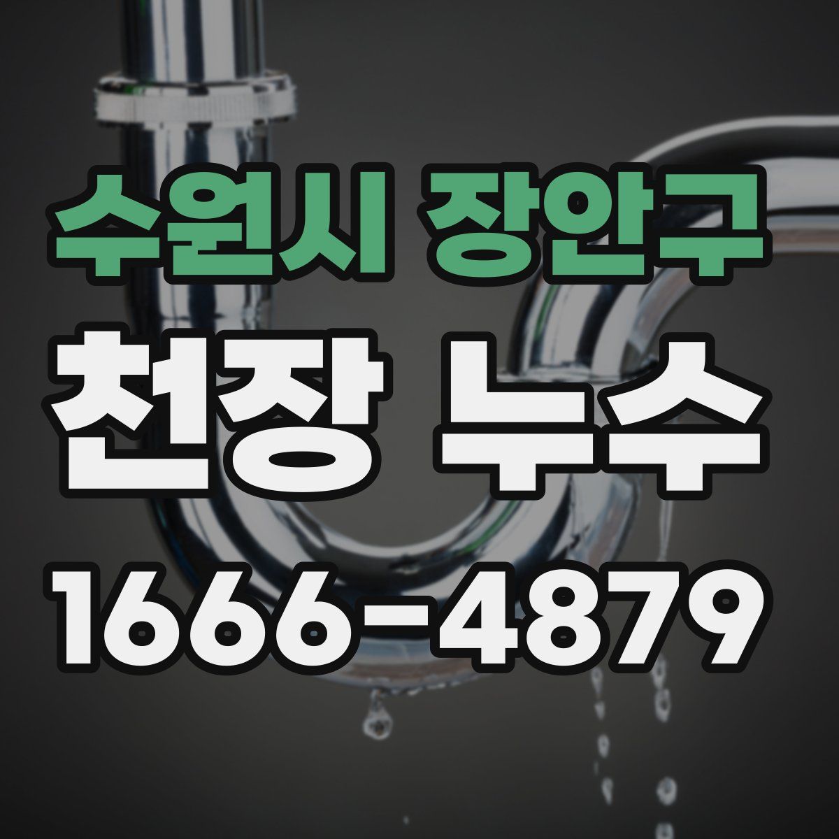 수원시 장안구 천장 누수