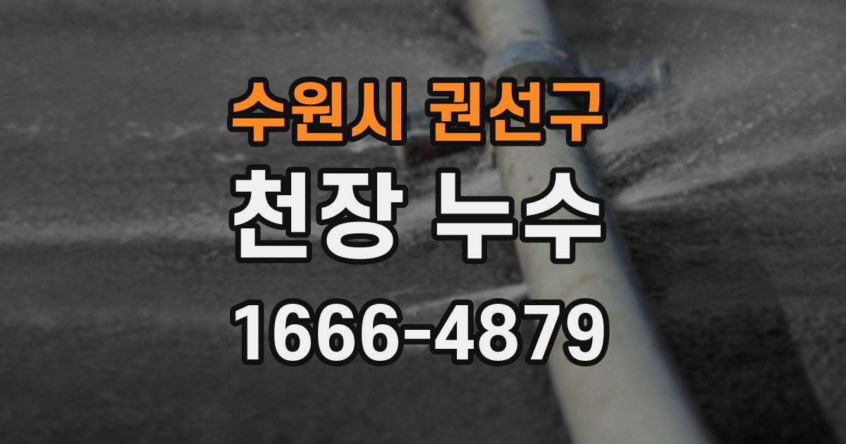 수원시 권선구 천장 누수