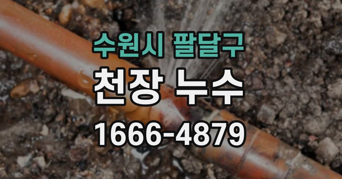 수원시 팔달구 천장 누수