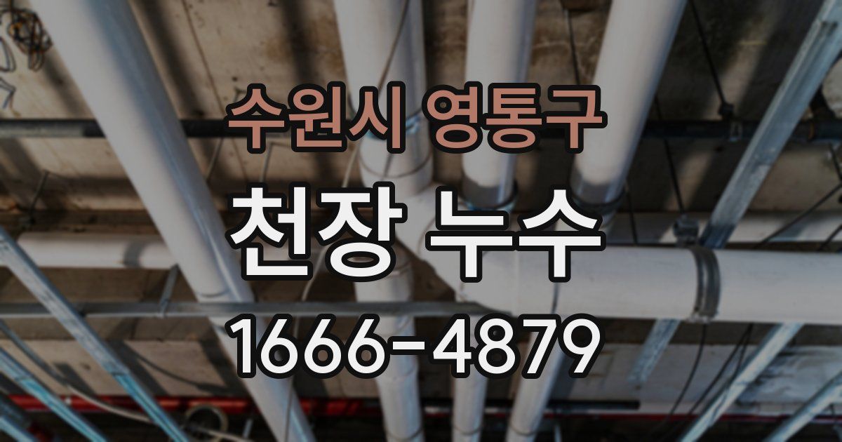 수원시 영통구 천장 누수