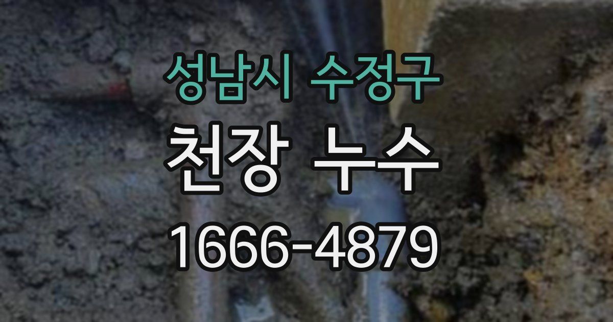 성남시 수정구 천장 누수