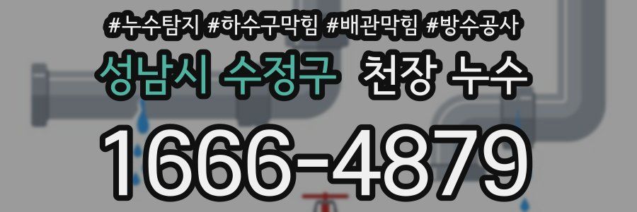 성남시 수정구 천장 누수