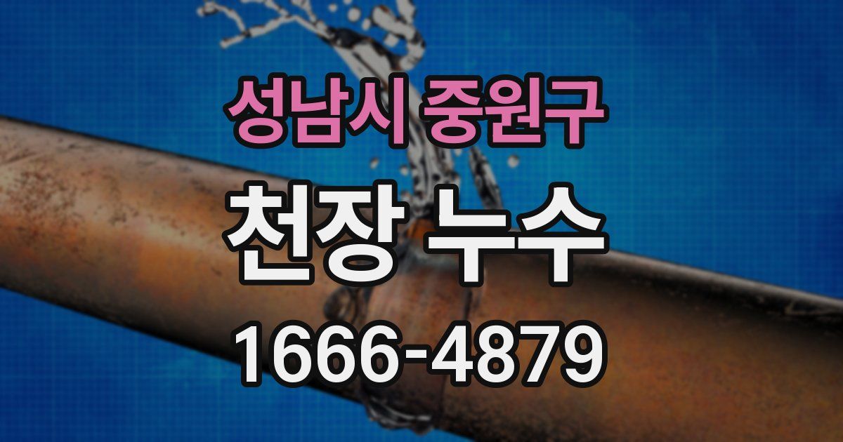 성남시 중원구 천장 누수