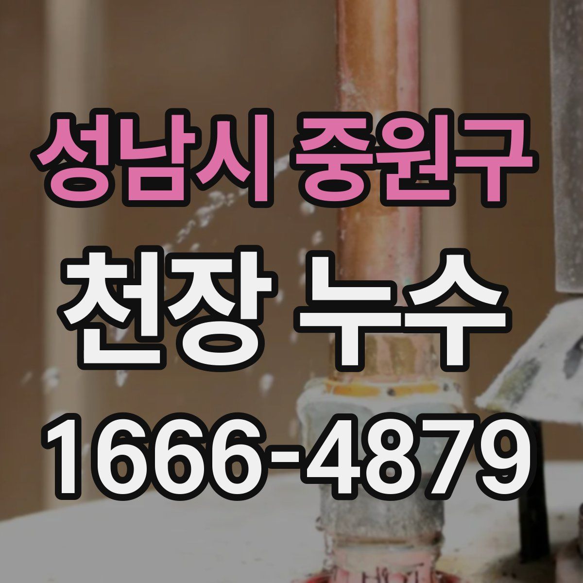 성남시 중원구 천장 누수