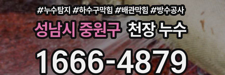 성남시 중원구 천장 누수