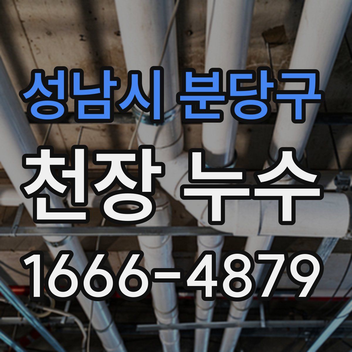성남시 분당구 천장 누수