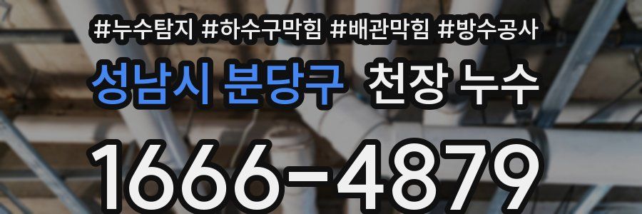 성남시 분당구 천장 누수