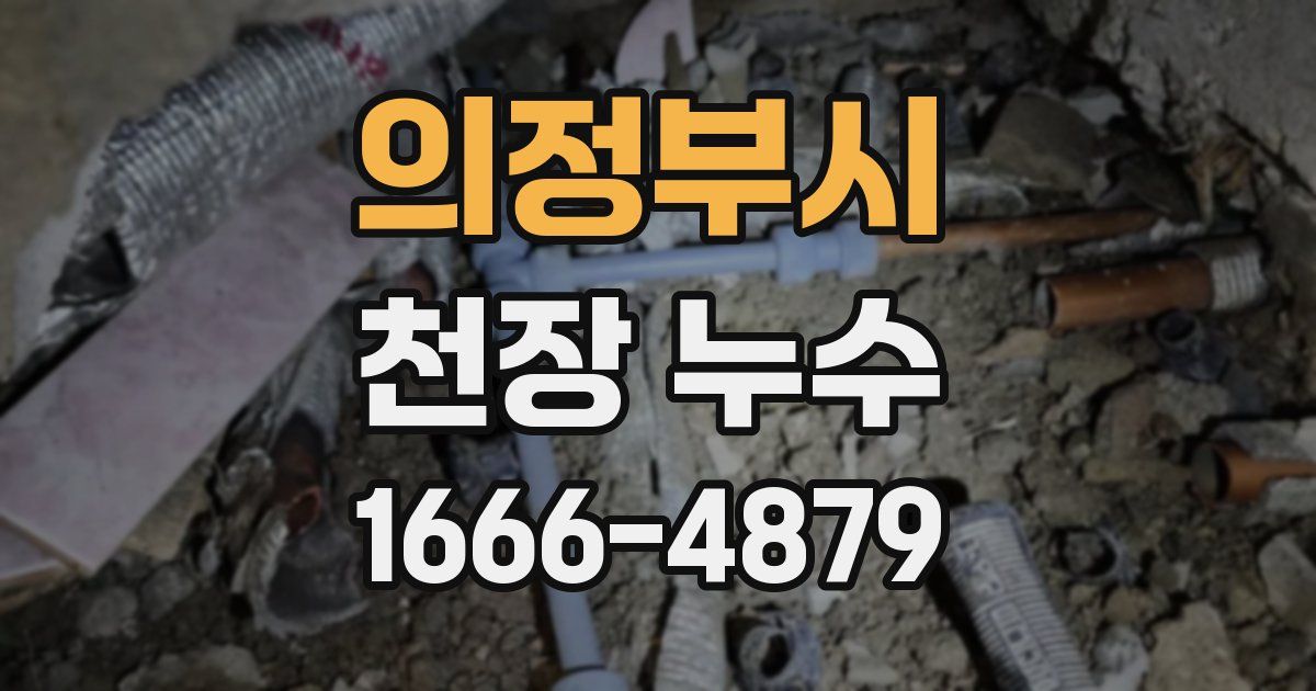 의정부시 천장 누수