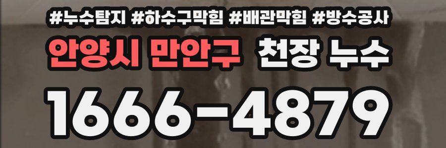 안양시 만안구 천장 누수