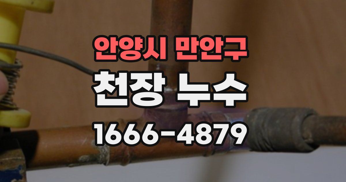 안양시 만안구 천장 누수