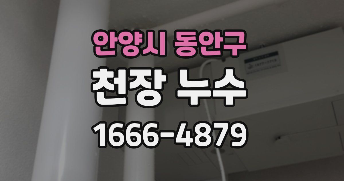 안양시 동안구 천장 누수