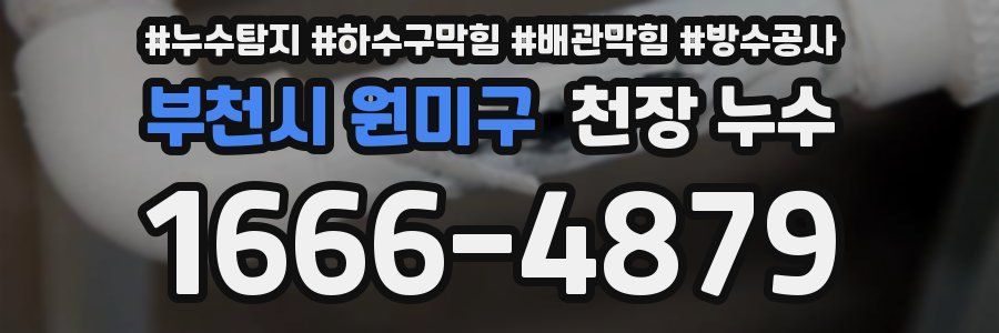 부천시 원미구 천장 누수