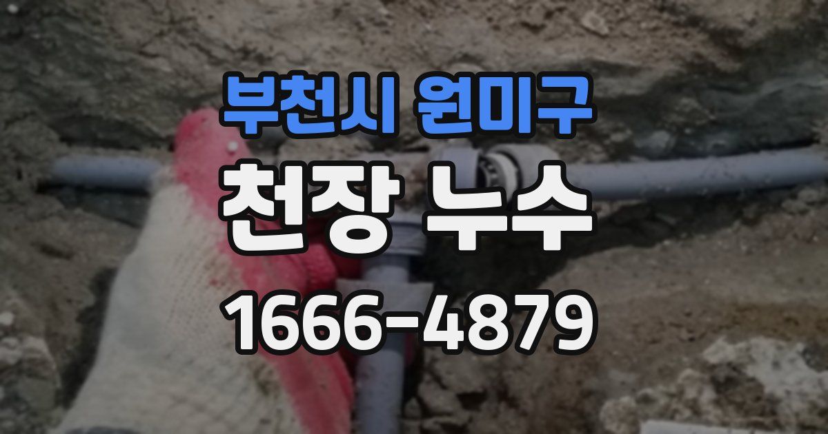 부천시 원미구 천장 누수