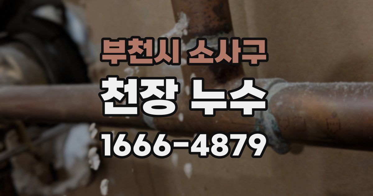 부천시 소사구 천장 누수