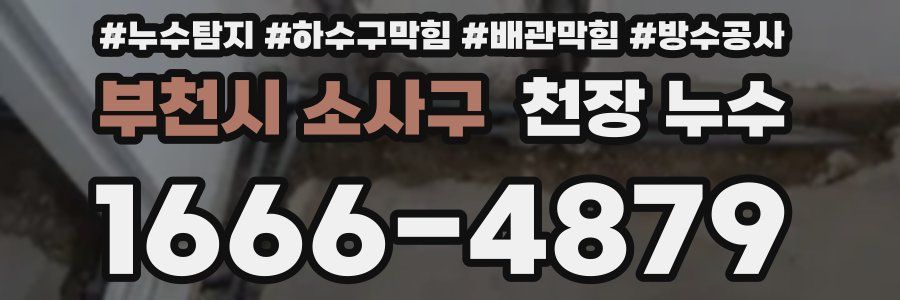 부천시 소사구 천장 누수