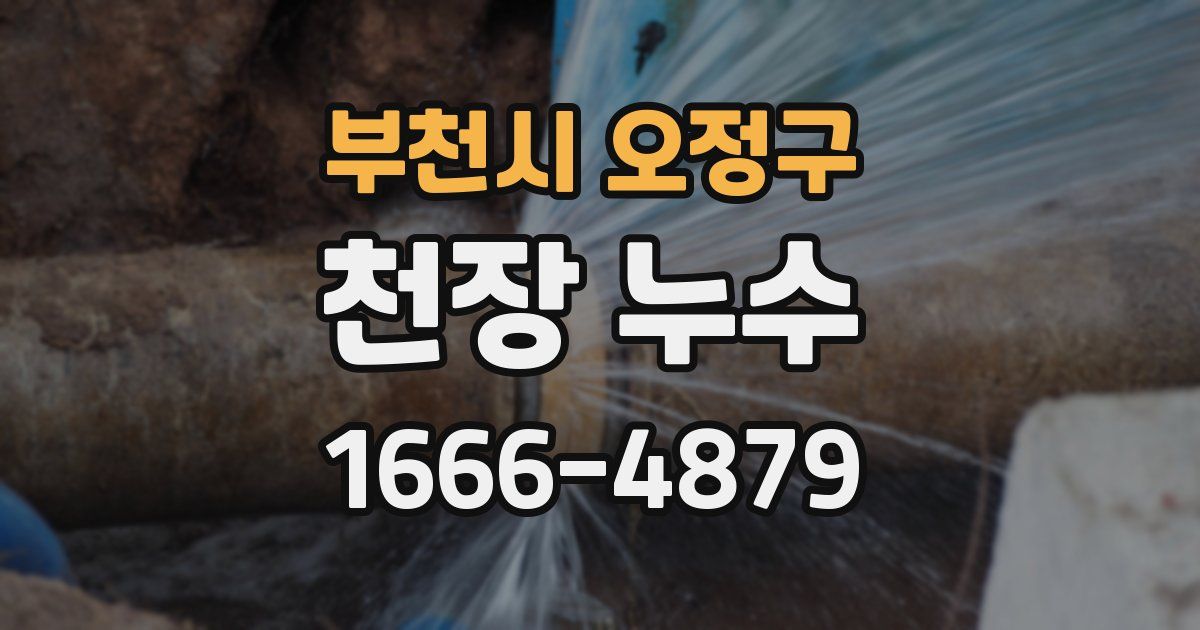 부천시 오정구 천장 누수