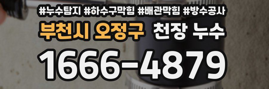 부천시 오정구 천장 누수