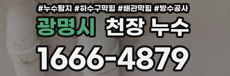 광명시 천장 누수