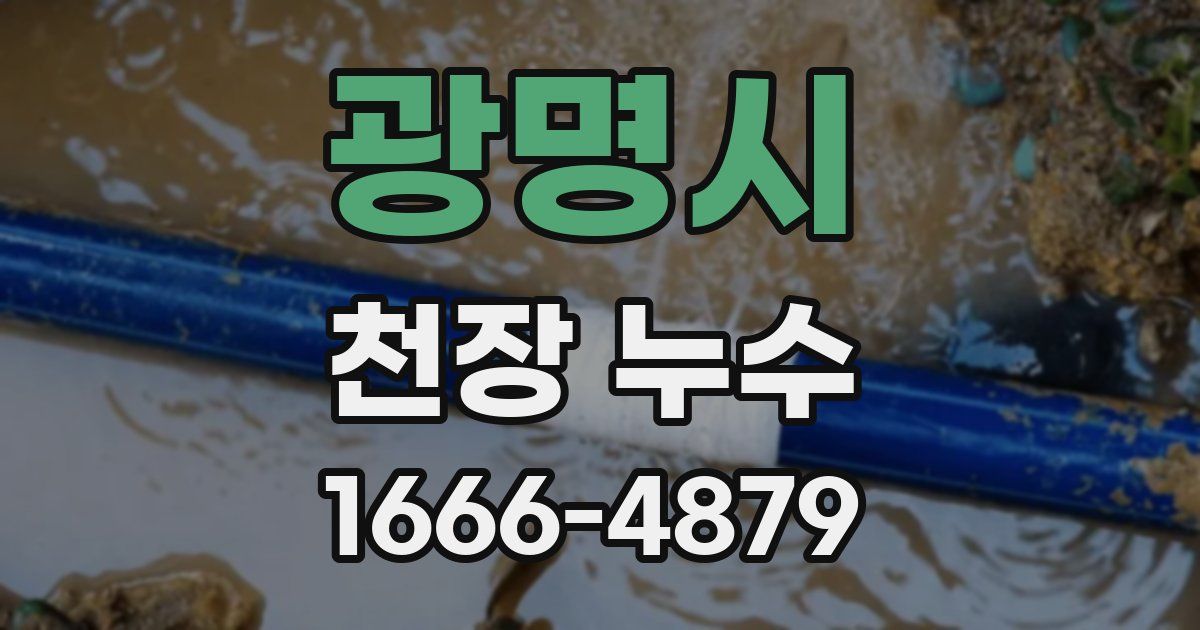 광명시 천장 누수