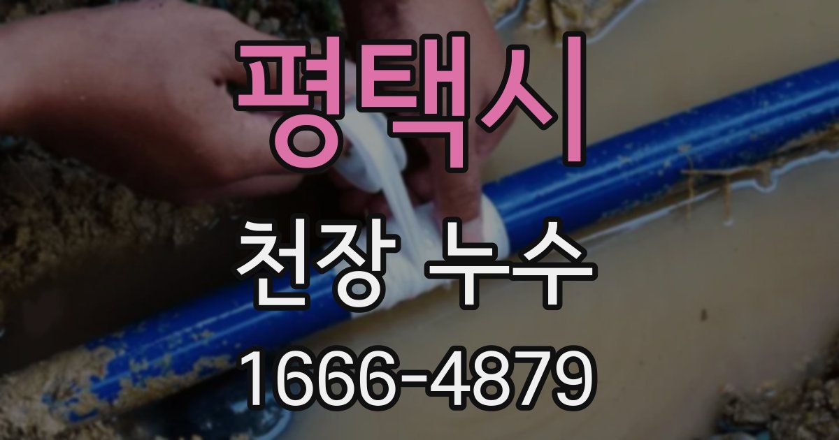평택시 천장 누수
