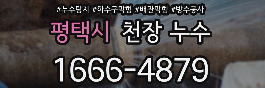 평택시 천장 누수