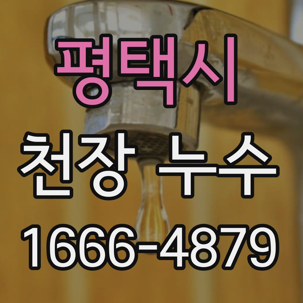 평택시 천장 누수