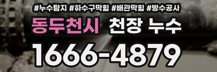 동두천시 천장 누수