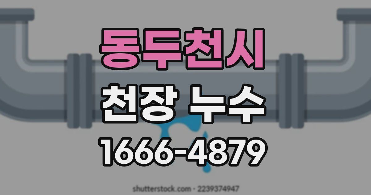 동두천시 천장 누수