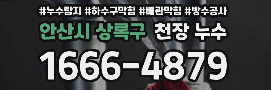 안산시 상록구 천장 누수