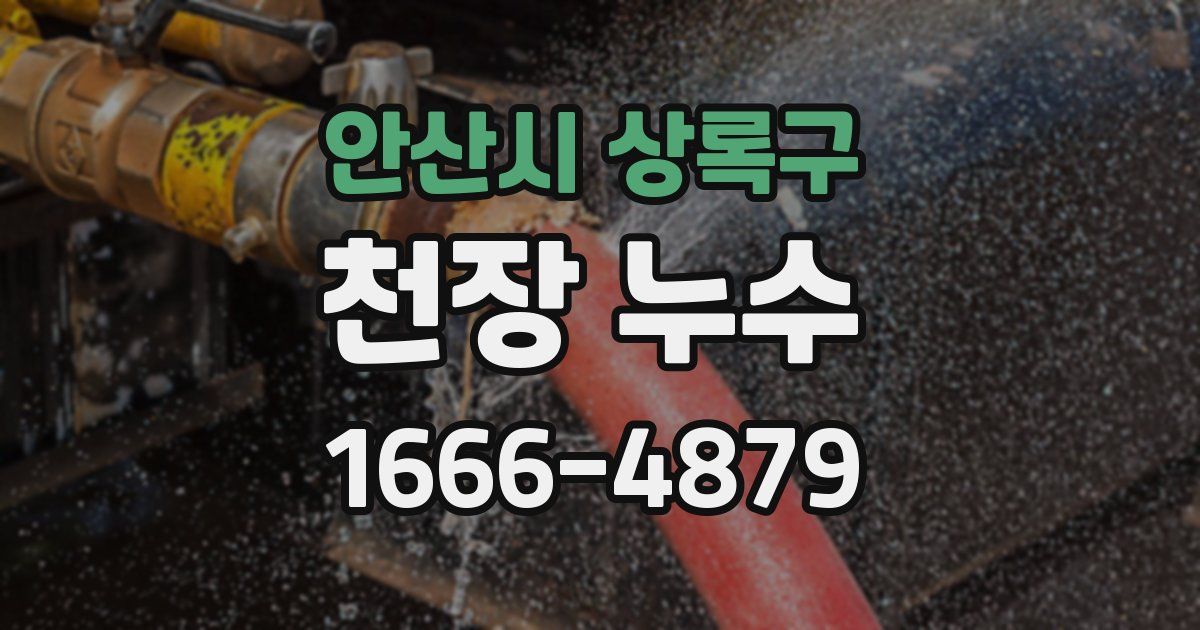 안산시 상록구 천장 누수