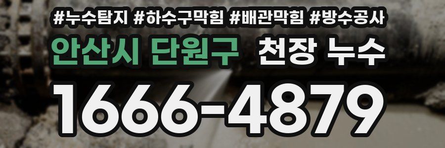 안산시 단원구 천장 누수