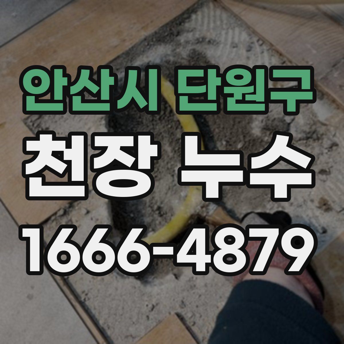 안산시 단원구 천장 누수