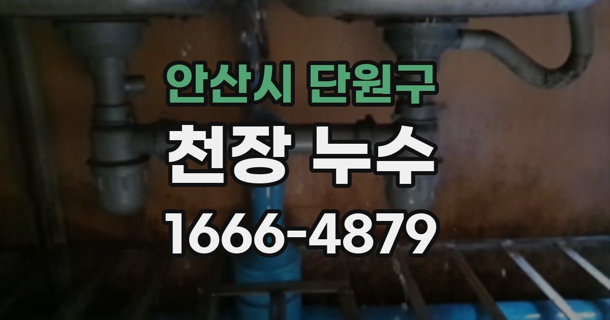 안산시 단원구 천장 누수