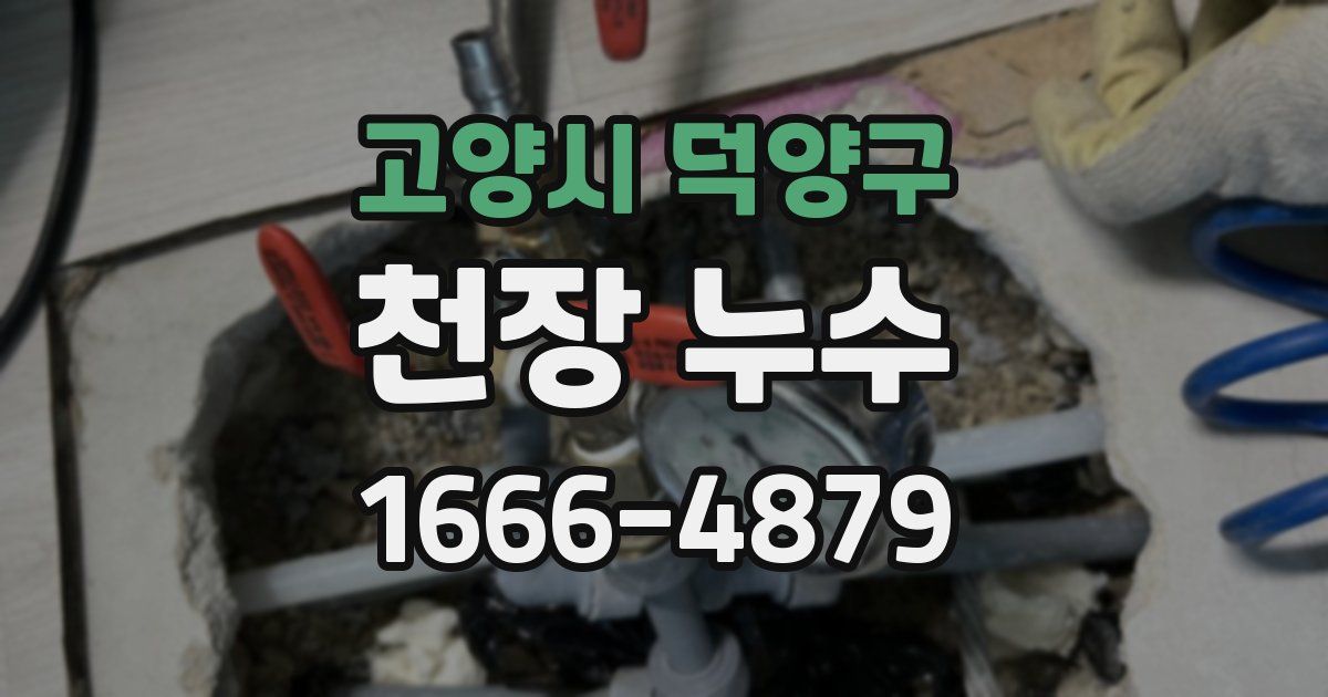 고양시 덕양구 천장 누수