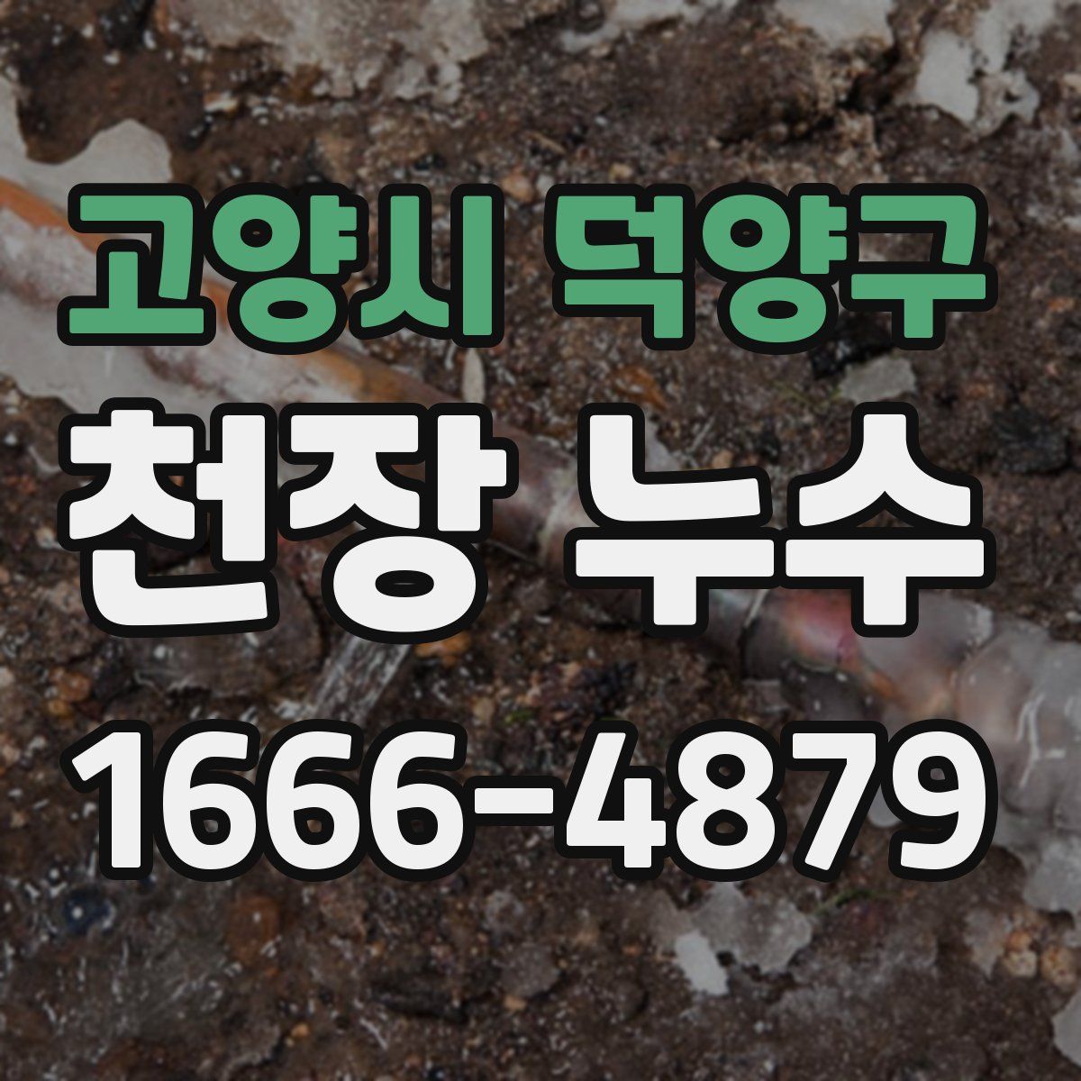 고양시 덕양구 천장 누수