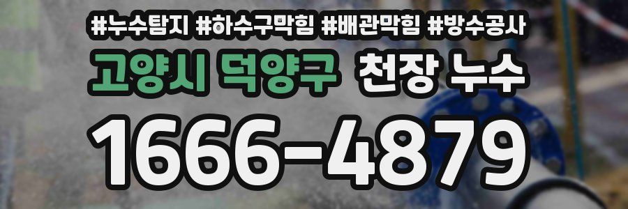고양시 덕양구 천장 누수