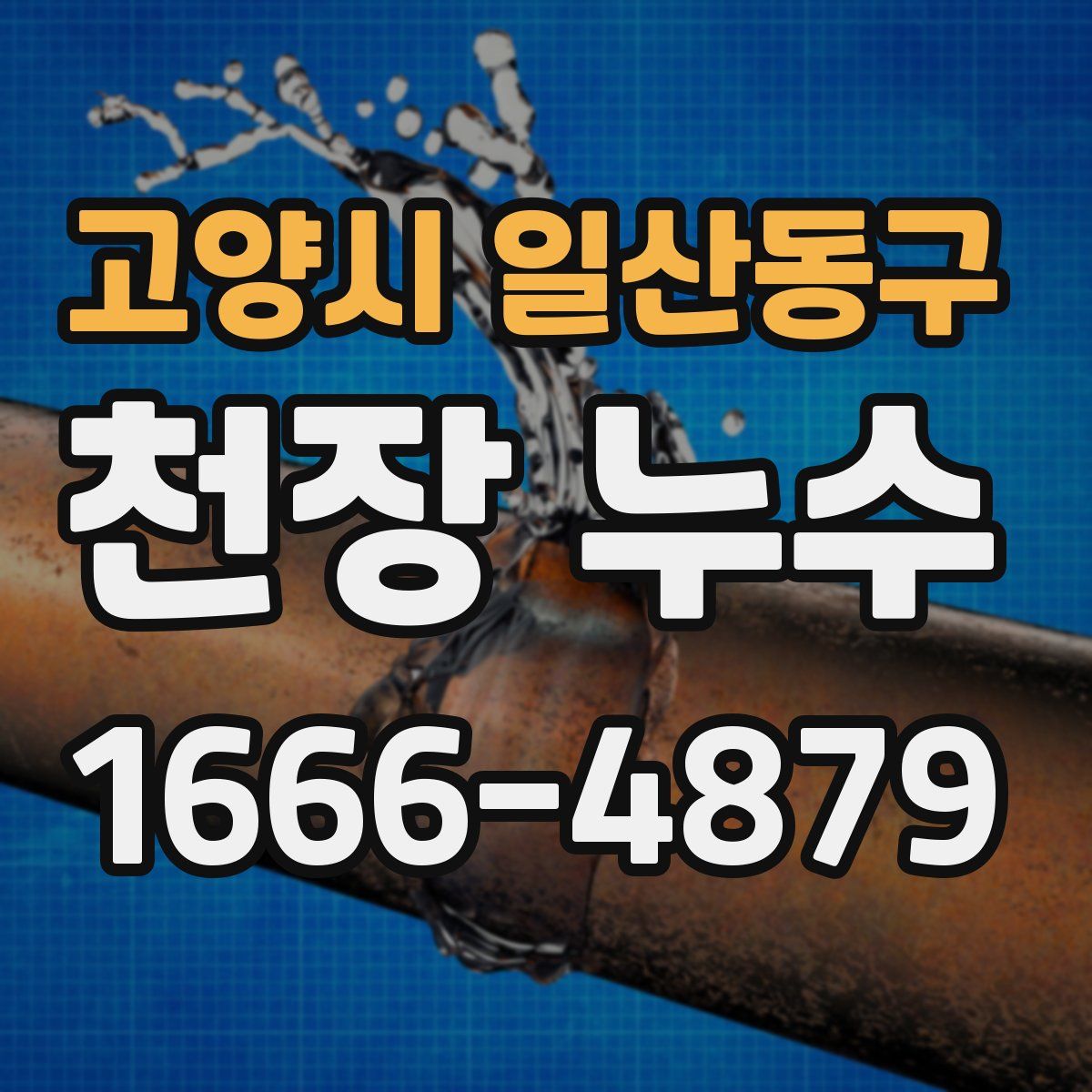 고양시 일산동구 천장 누수