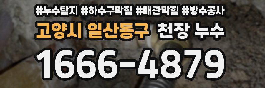 고양시 일산동구 천장 누수