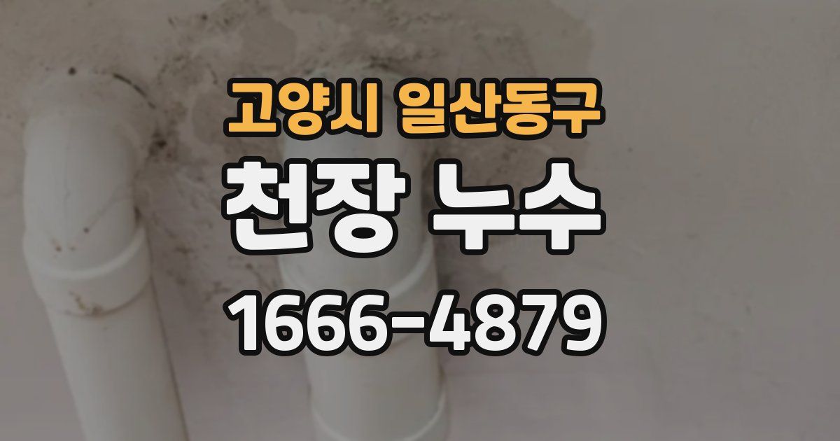 고양시 일산동구 천장 누수