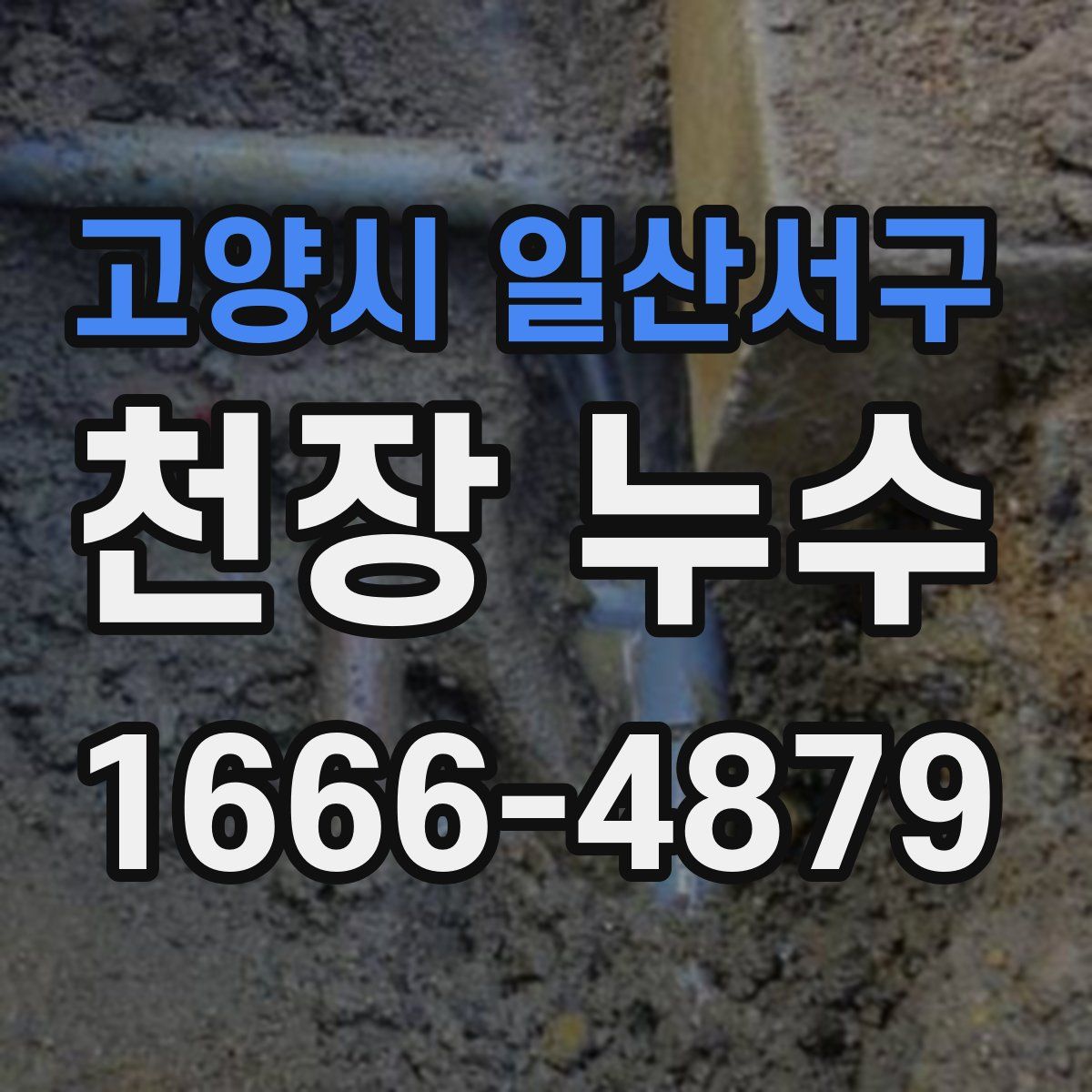 고양시 일산서구 천장 누수
