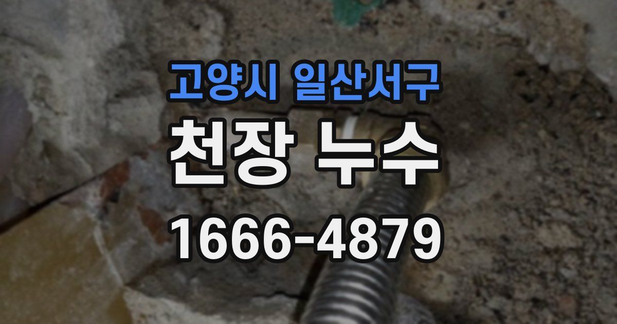 고양시 일산서구 천장 누수