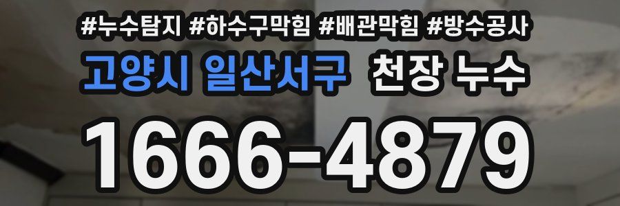 고양시 일산서구 천장 누수