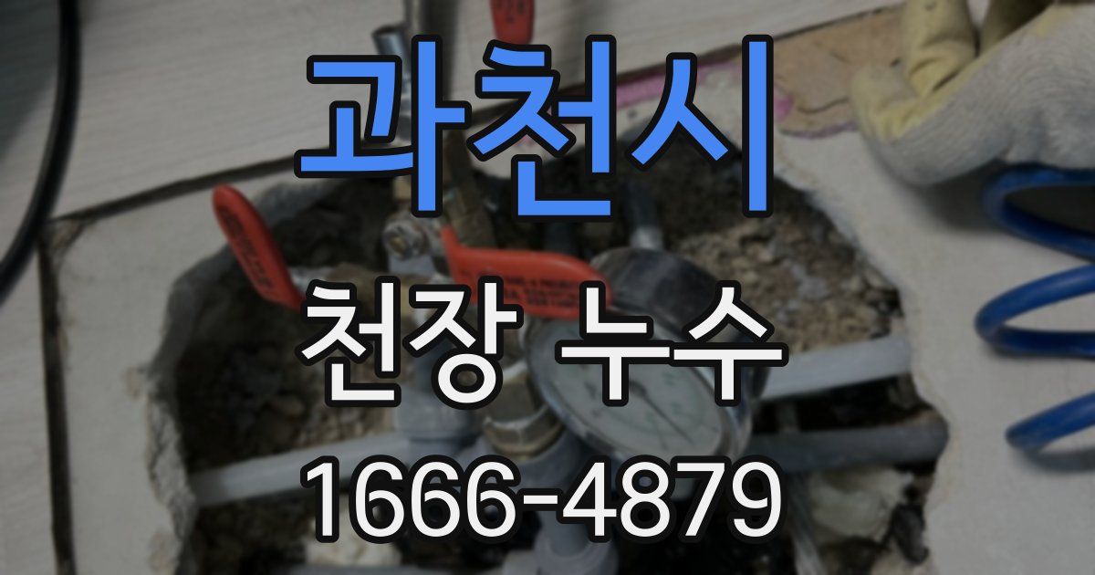 과천시 천장 누수