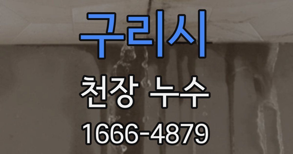 구리시 천장 누수